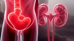 Hematuria: Memahami Penyebab dan Penanganannya
