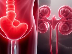 Hematuria: Memahami Penyebab dan Penanganannya