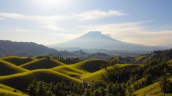 Perslobar Lombok Barat: Berita Terkini dan Informasi Terbaru