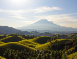 Perslobar Lombok Barat: Berita Terkini dan Informasi Terbaru