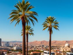 Analisis Terkini: Perkembangan Terbaru di Tunisia